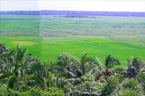 Activists question 'industrial zone' at Sompeta wetland in Andhra, urge its protection