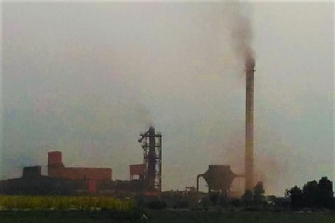 Ground report: Crops ruined due to dust from sponge iron plant, Andhra farmers allege