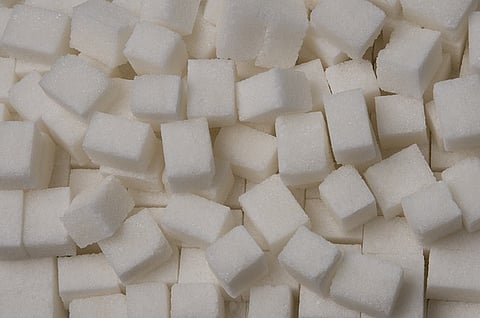 A history of sugar – the food nobody needs, but everyone craves