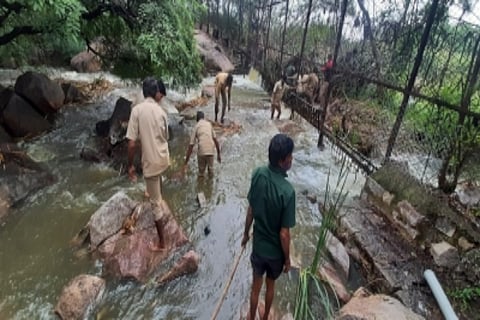 Hyderabad zoo’s Tiger Safari Park floods as Mir Alam Tank overflows