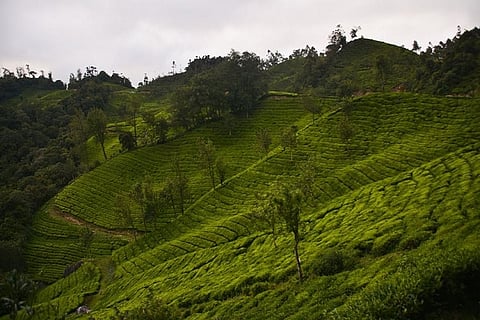  Karnataka gets adventurous, but experts worry about safety and ecological harm