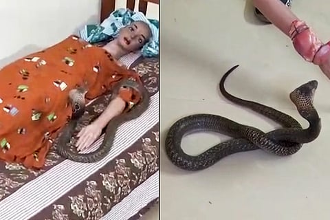Video: Kerala police try to reconstruct Uthra’s murder using a cobra and dummy