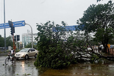 Chennai summers to get hotter, city’s green cover is now just 15 percent: Experts