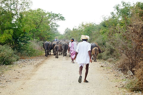 Telangana’s Village Development Committees act like feudal landlords, perpetuate caste