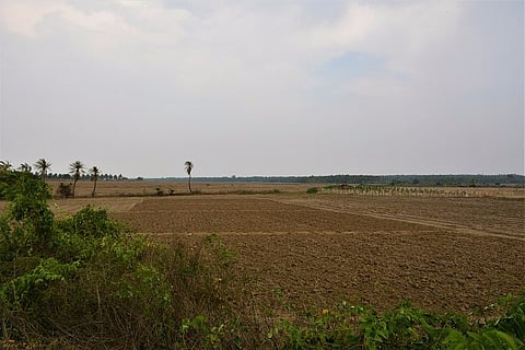 No use blaming failed monsoons, drought-hit farming in Karnataka needs comprehensive solutions