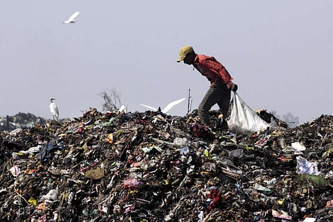 A man picking waste from a giant garbage dump