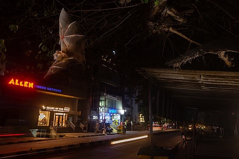 NiF Award winner for Photograph of the Year