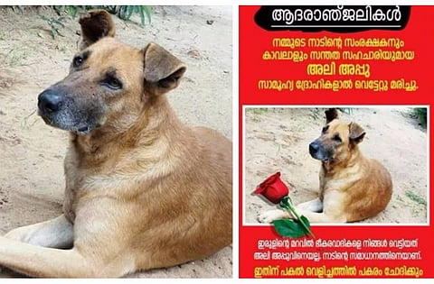 Death of a guardian: Why an entire Kerala village is mourning the loss of one dog