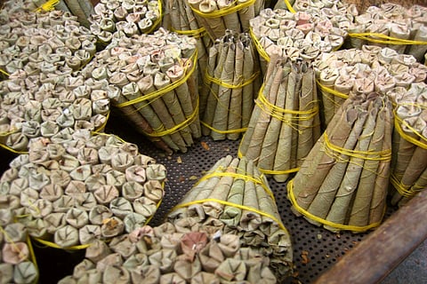 Revenue from beedi leaf sale in Telangana to see three-fold jump