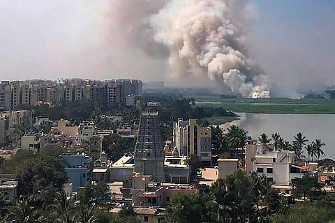 Garden City is warming up: Why climate change must be an election issue for Bengaluru