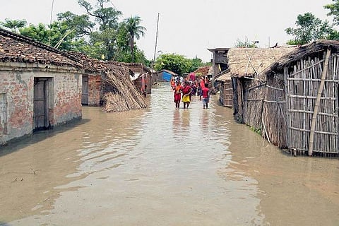 Bihar floods force people along Kosi to eat rats
