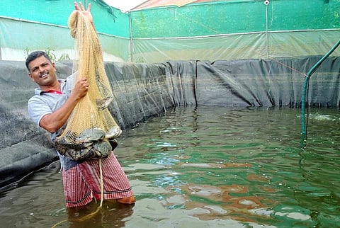 Kerala's best farmer award winner proves it is possible to profit from limited land 