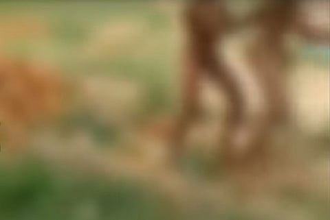 Minor boys stripped naked, assaulted by a group in Bengaluru outskirts, who also caught it on cam
