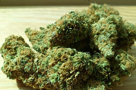 Ganja
