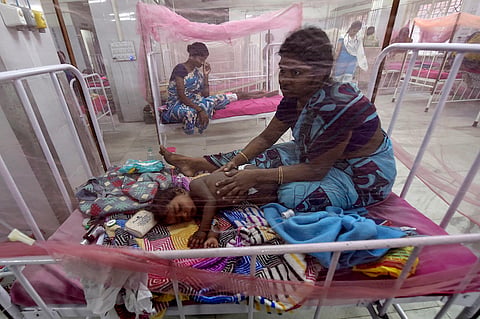 Almost 3,000 cases of dengue reported in Tamil Nadu in 2019: Health Secy