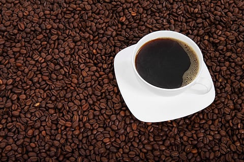 Empowerment in a cup: This coffee is organic and comes straight from Adivasi growers in the Nilgiris