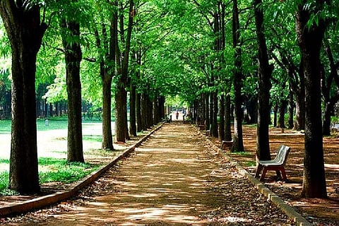 Bengaluru no longer Garden City? Only 3 pc of city’s area covered by parks, says survey