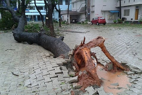 Live blog: Tracking Cyclone Ockhi in Tamil Nadu and Kerala 