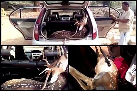 Telangana deer poaching case: Police arrest two more, including local TRS leader 