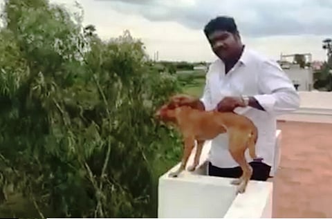 Two Chennai medical students who threw a dog from rooftop to pay Rs 2 lakh fine