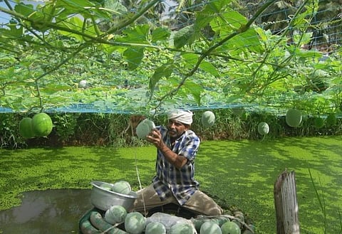 Organic farmers association in Kerala wins international award for innovative farming