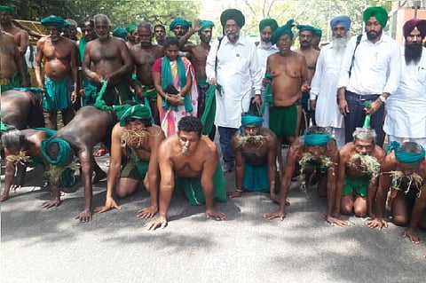 TN farmers go down on all fours, say they've been reduced to animals on Day 36 of protests