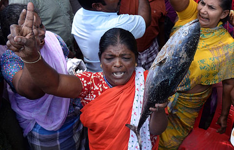 No formalin in our fish: Kerala fisherfolk protest as discovery affects sales