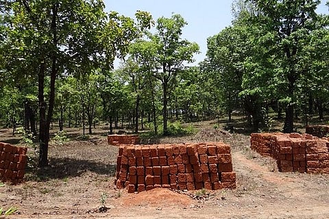 23,716 Industrial Projects Replace Forests Over 30 Years
