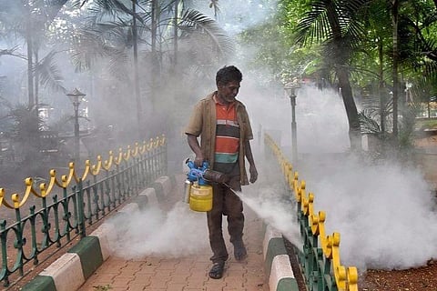 Why officials in Hyderabad are using ‘banned’ pesticide DDT for mosquito control 