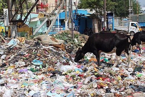 BBMP's new plan to improve waste segregation in Bengaluru: Will it work this time?