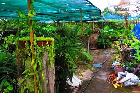 Have you heard of a lush green farm on a mall's rooftop? There's one in Kerala