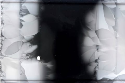 This powerful video shows how bacteria mutate and develop resistance to antibiotics 