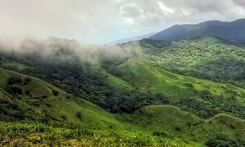 Karnataka’s endangered Kappatagudda Hills may get back ‘reserve’ status after prolonged protest