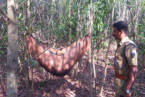 Unidentified body found on Kerala University campus