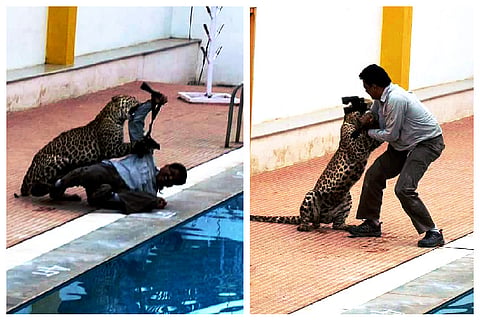 Bengaluru leopard incident: 3 charts tell you why some neighbourhoods are vulnerable
