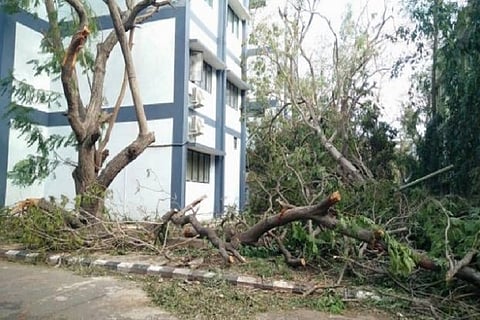 Ravaged by Vardah, MIT alumni and students look to crowdfunding to make campus green again