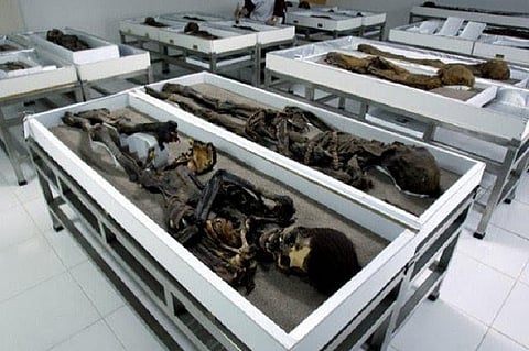 Egypt discovers new necropolis containing dozens of mummies