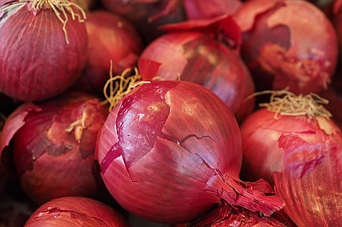 Onion farmers in Andhra stage 'rasta roko', block roads by dumping produce