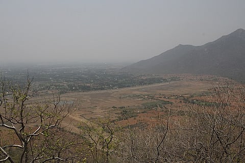 Whose forest is it anyway? Tamil Nadu’s disastrous disregard for the Forest Rights Act 