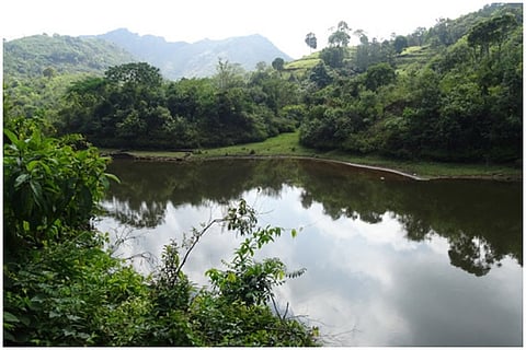 Kerala orders stay on all trekking programmes in state after Theni forest fire