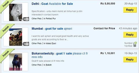Goats sell quick on OLX and Quikr ahead of Bakri-Eid