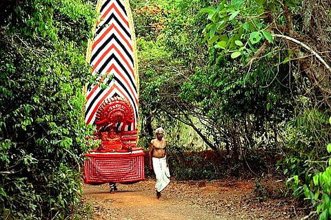 Sacred groves of Kerala: Backed by divinity, but not legality 