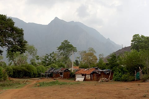 How a conflict between different ideas of conservation is hurting the adivasis of Tamil Nadu