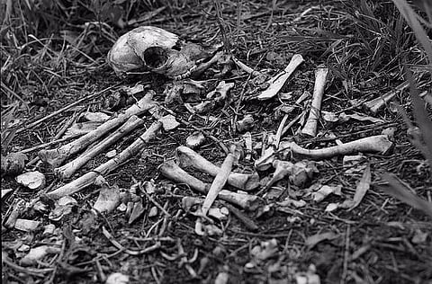 Scientists find first evidence of Neanderthal cannibalism in northern Europe