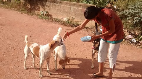 Sonniya petting dogs
