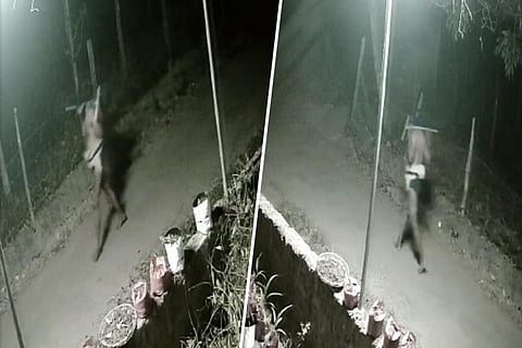 Mysterious figure ‘seen' at night in Kerala: HC asks police to take appropriate action