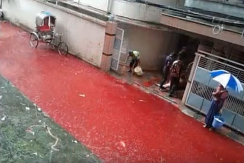 Eid animal sacrifice: Blood-rainwater mix on Dhaka streets raises health concerns