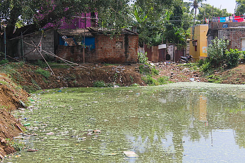 Jallikattu protests inspired this town to save their water source but their success was short-lived