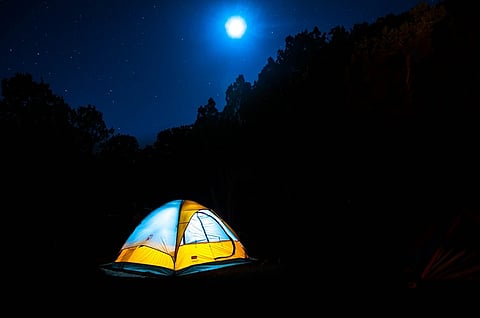 'Night trekking illegal': K’taka minister pulls up BookMyShow, cautions trekkers