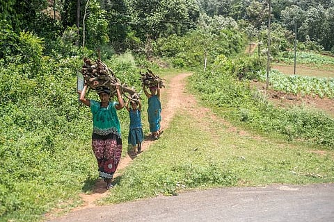 Over 10,000 claims under Forest Rights Act rejected in TN without due process